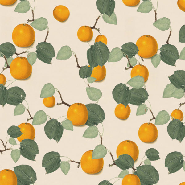 orange vintage wallpaper